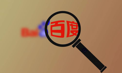 网站蜘蛛池怎么做的
